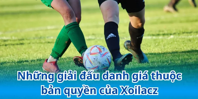 Bản Quyền Xoilacz - Xem Bóng Đá Chất Lượng Cao Full HD 4 Điểm tên những giải đấu đẳng cấp thuộc bản quyền của Xoilac