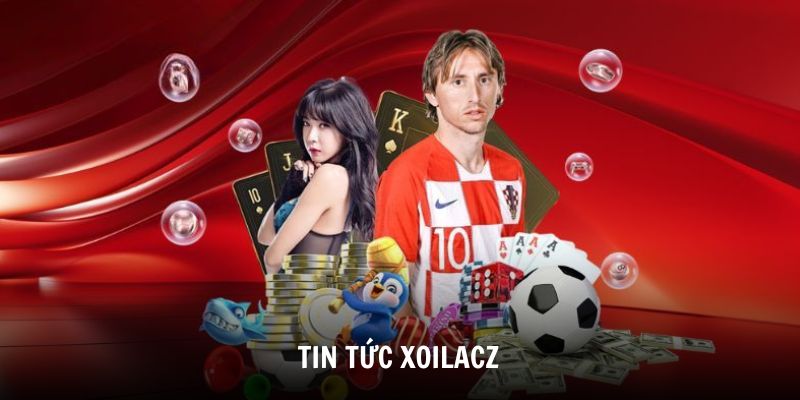 tin tuc