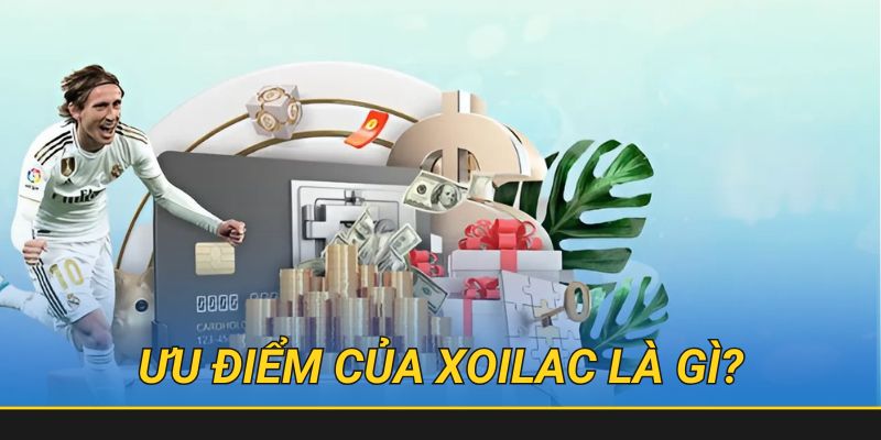 Xoilacz 5 Những lý do khiến nơi đây trở thành thiên đường cho người chơi và xem