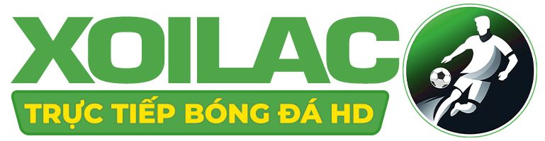 xoilaczink